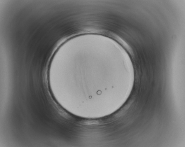 X0000113271291200910221052