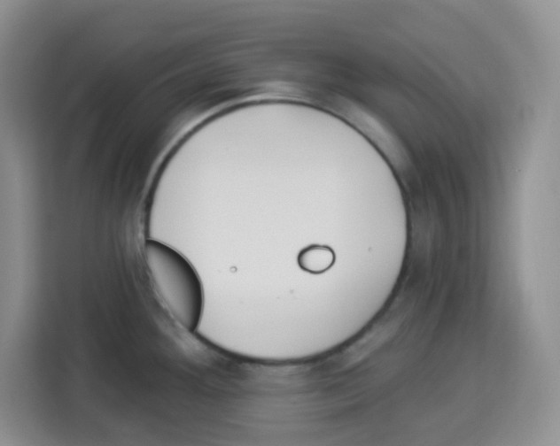 X0000113271292200910221051