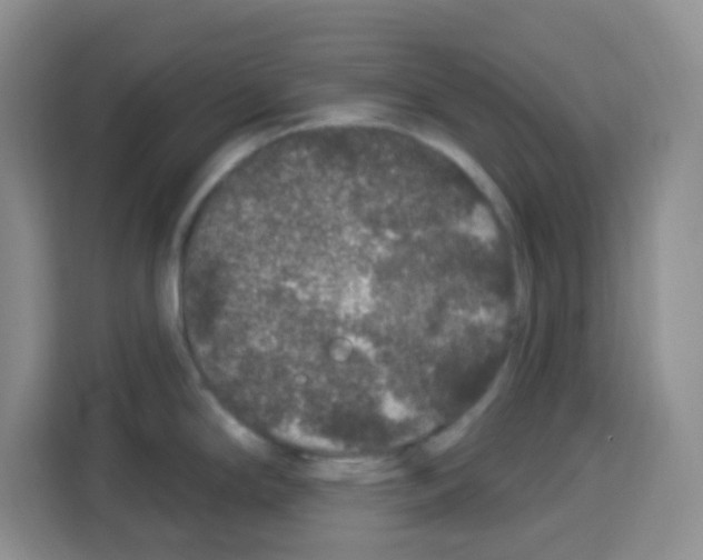 X0000113271294200910221051