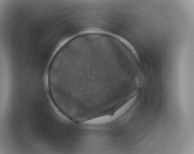 X0000113271295200910221051