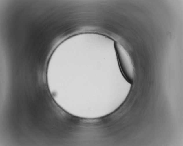 X0000113271296200910221051