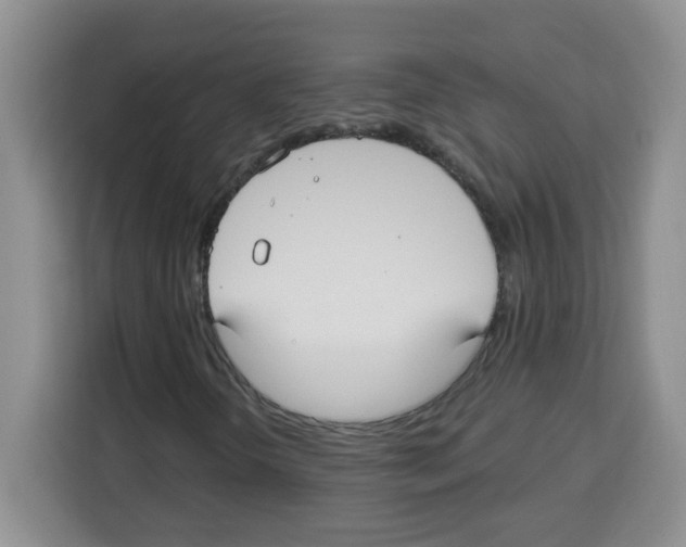 X0000113271298200910221051