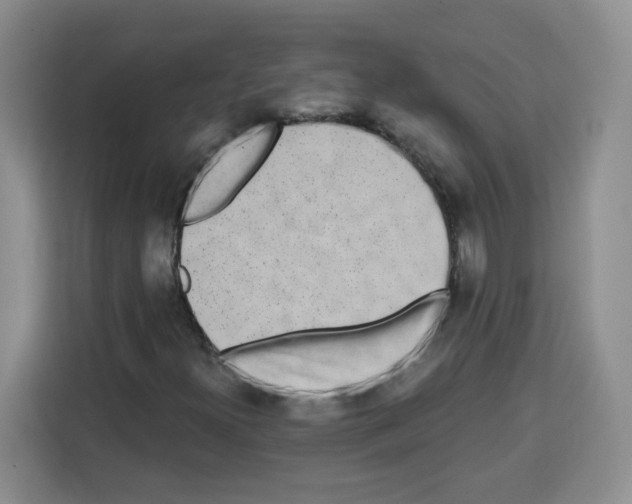 X0000113271300200910221051