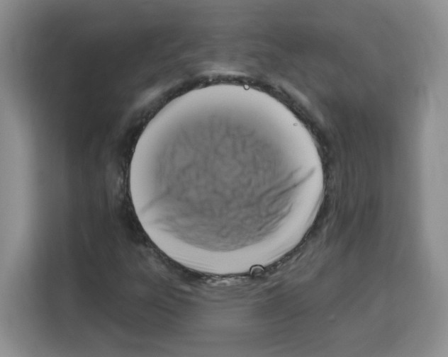 X0000113271303200910221051