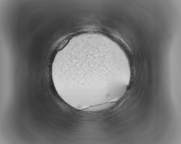 X0000113271304200910221051