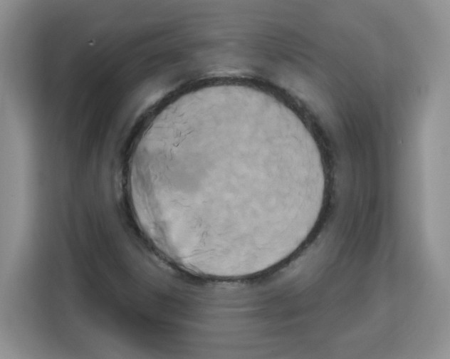 X0000113271306200910221051