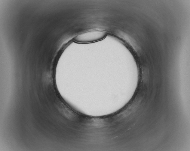 X0000113271308200910221051