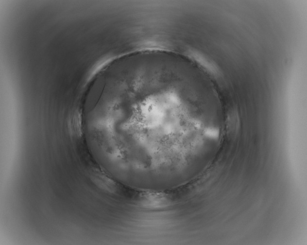 X0000113271310200910221051