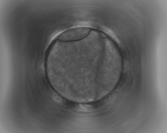 X0000113271312200910221051