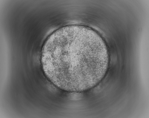 X0000113271314200910221051