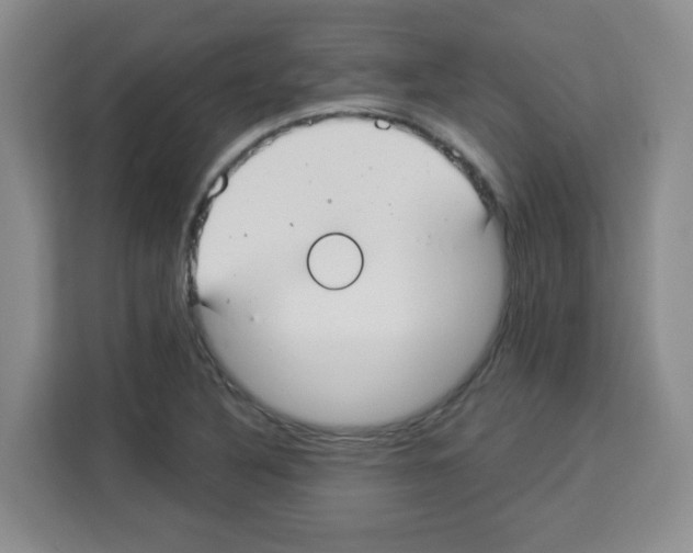 X0000113271316200910221051