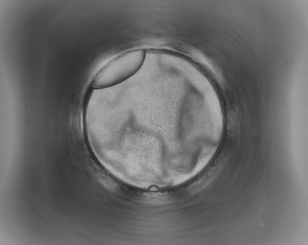 X0000113271320200910221051