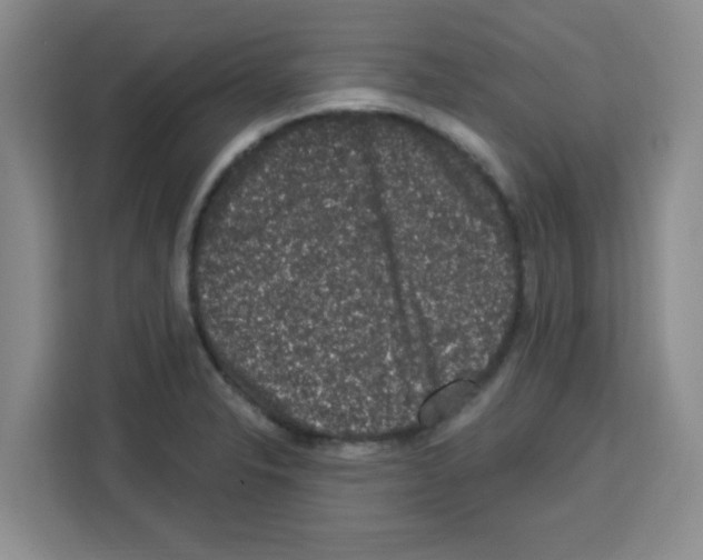 X0000113271326200910221051