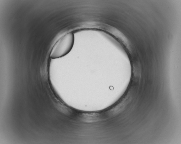 X0000113271328200910221051