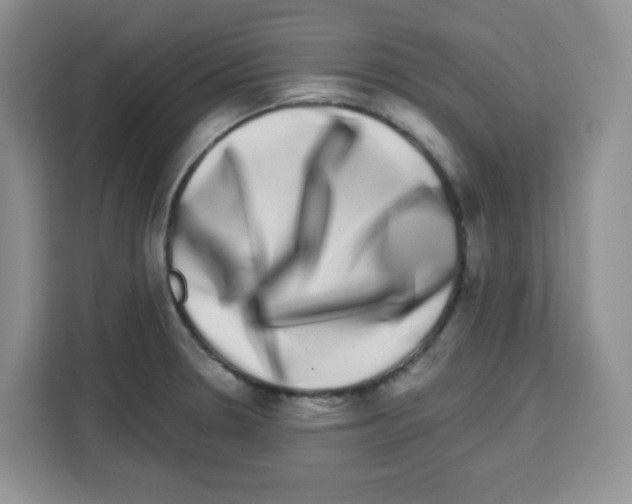 X0000113271330200910221051