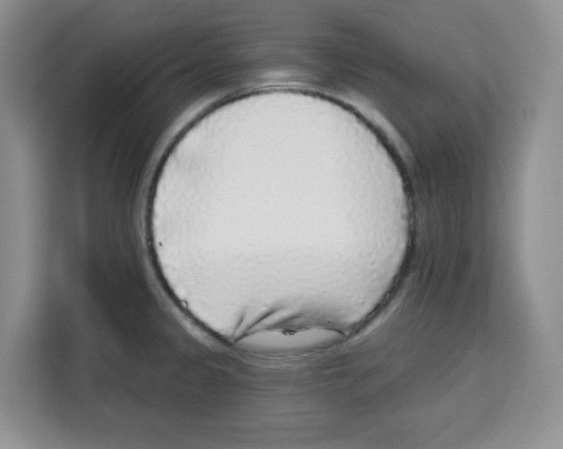 X0000113271333200910221051