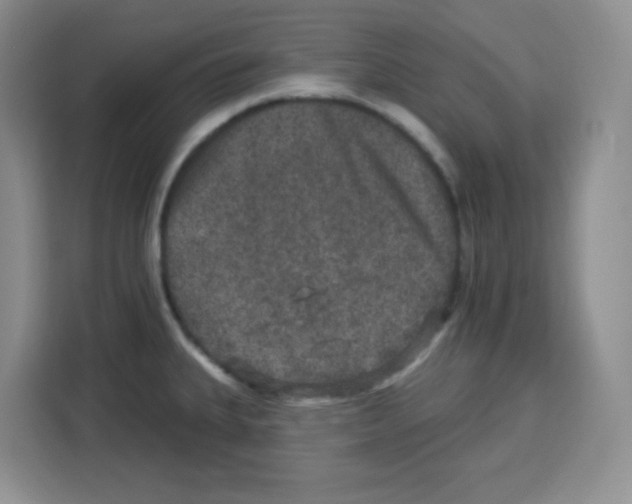 X0000113271335200910221051