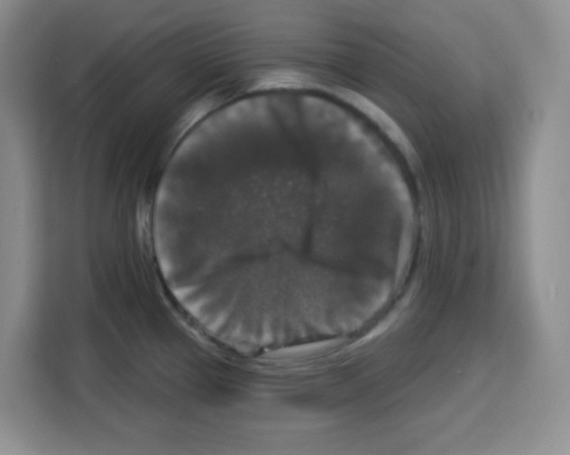 X0000113271337200910221051