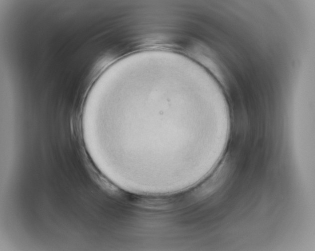 X0000113271338200910221051