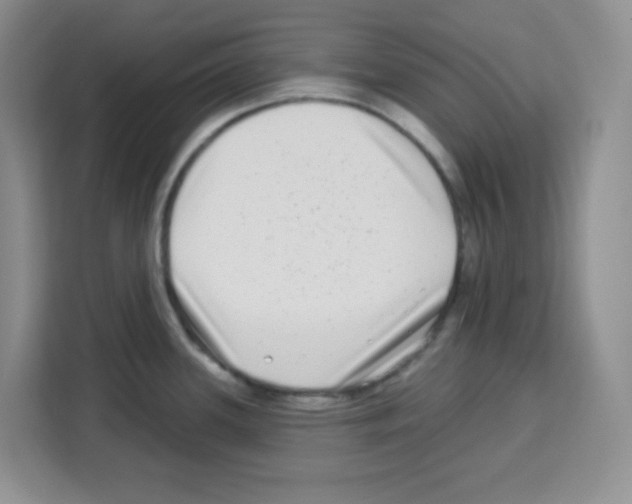 X0000113271339200910221051