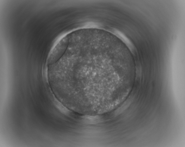 X0000113271340200910221051