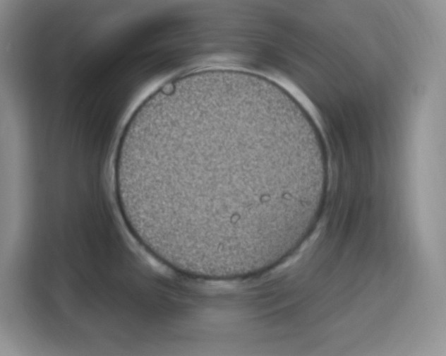 X0000113271341200910221051