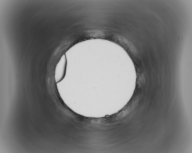 X0000113271345200910221051