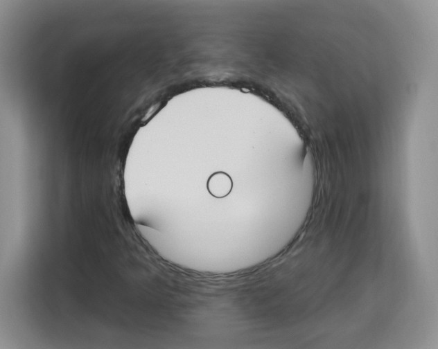 X0000113271349200910221051