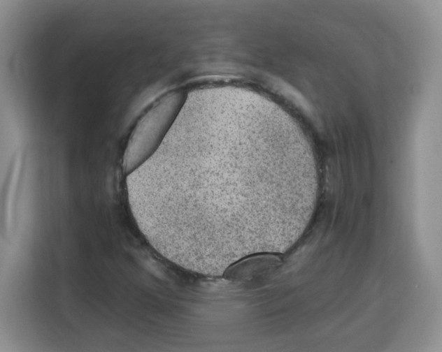 X0000113271352200910221051