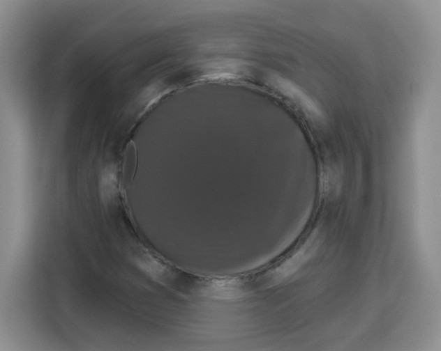 X0000113271353200910221051