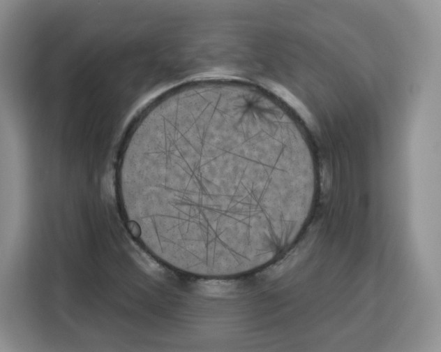 X0000113271356200910221051