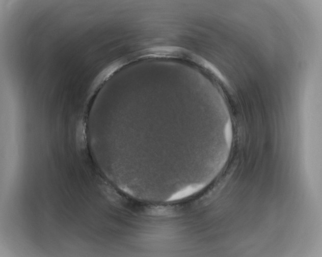 X0000113271362200910221051