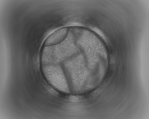 X0000113271364200910221051