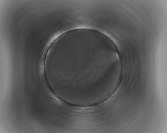 X0000113271367200910221051