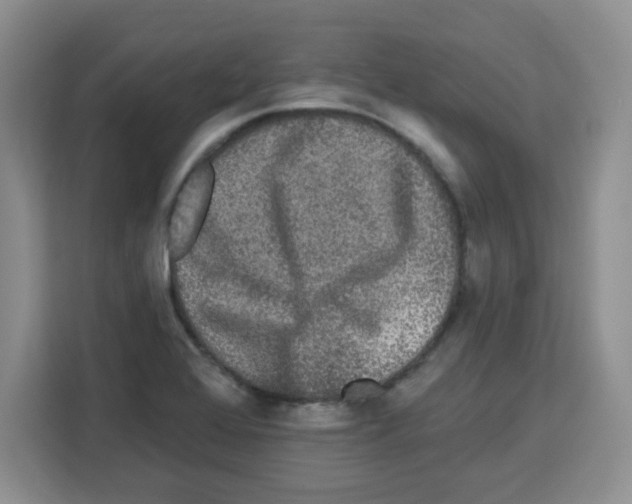 X0000113271368200910221051