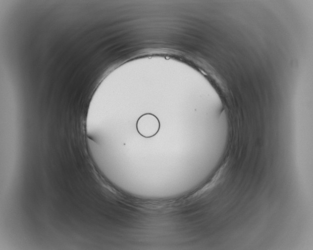 X0000113271369200910221050