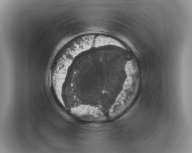 X0000113271371200910221050