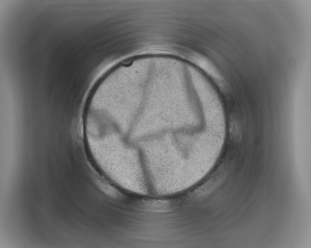 X0000113271372200910221050