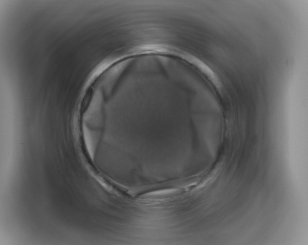 X0000113271373200910221050