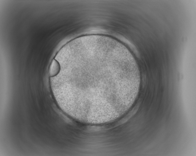 X0000113271374200910221050