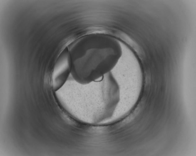 X0000113271377200910221050