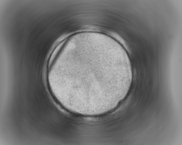 X0000113271379200910221050