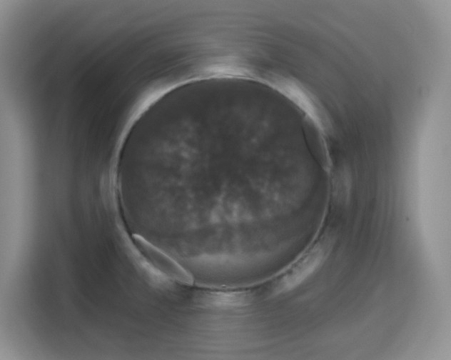 X0000113271381200910221050