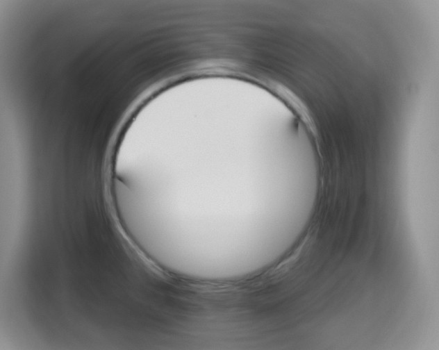 X0000113271384200910221050