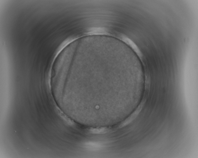 X0000113271386200910221050