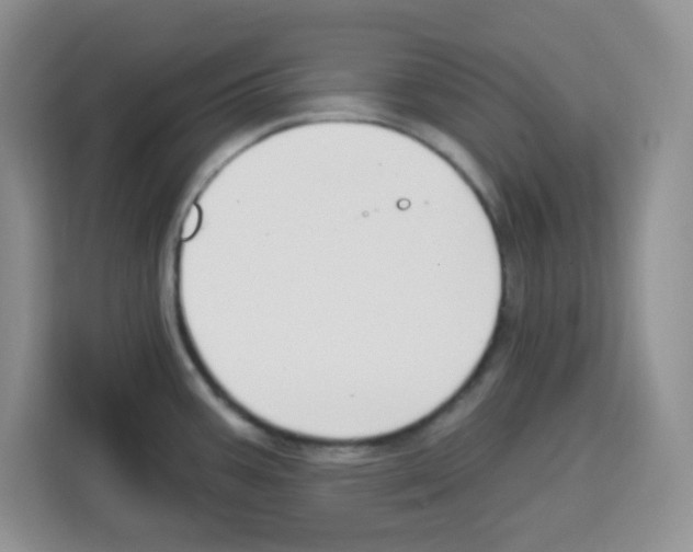 X0000113271387200910221050