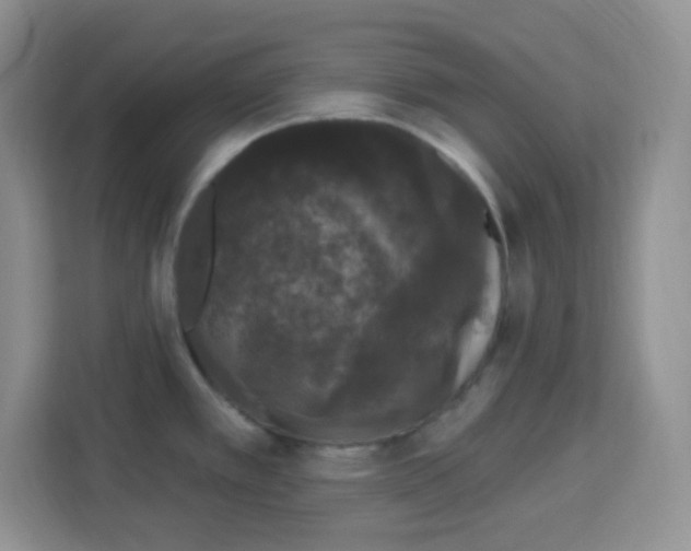 X0000113271389200910221050