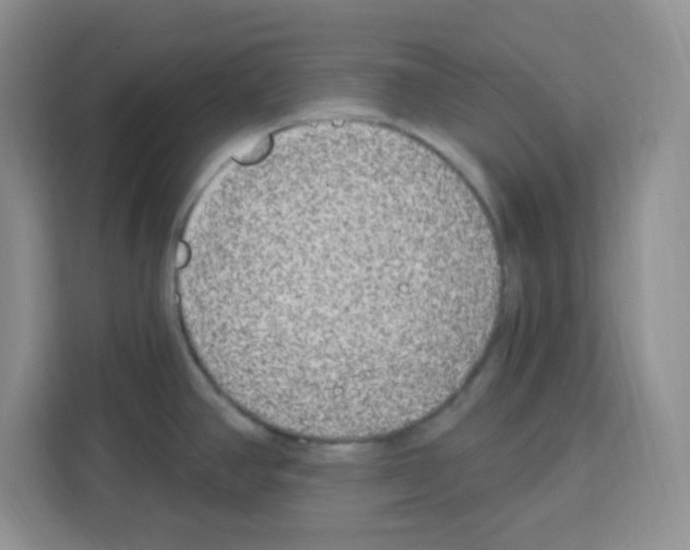 X0000113271390200910221050