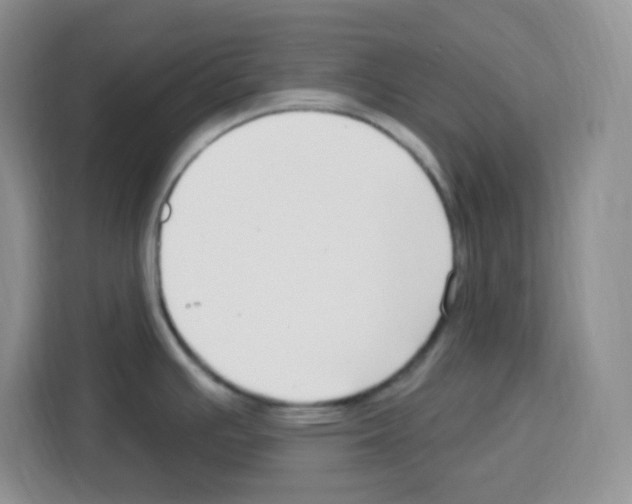 X0000113271391200910221050