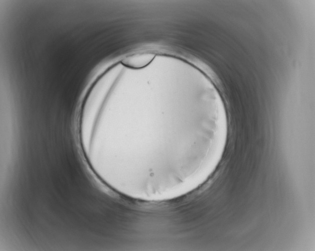 X0000113271392200910221050